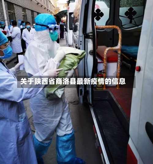 关于陕西省商洛县最新疫情的信息-第2张图片