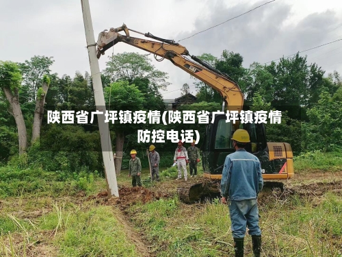 陕西省广坪镇疫情(陕西省广坪镇疫情防控电话)-第1张图片