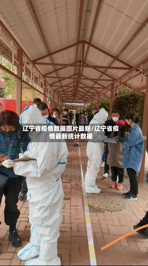 辽宁省疫情数据图片最新/辽宁省疫情最新统计数据-第2张图片