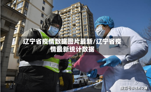 辽宁省疫情数据图片最新/辽宁省疫情最新统计数据-第3张图片