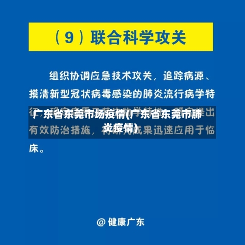 广东省东莞市场疫情(广东省东莞市肺炎疫情)-第2张图片