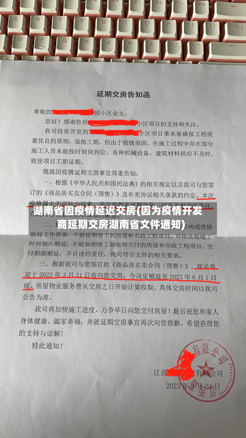 湖南省因疫情延迟交房(因为疫情开发商延期交房湖南省文件通知)-第2张图片