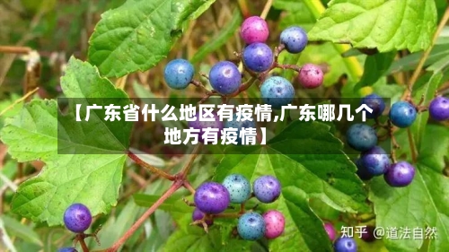 【广东省什么地区有疫情,广东哪几个地方有疫情】-第3张图片