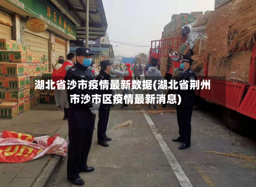 湖北省沙市疫情最新数据(湖北省荆州市沙市区疫情最新消息)-第3张图片