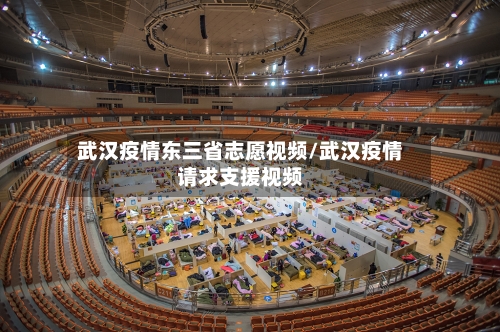 武汉疫情东三省志愿视频/武汉疫情请求支援视频-第1张图片