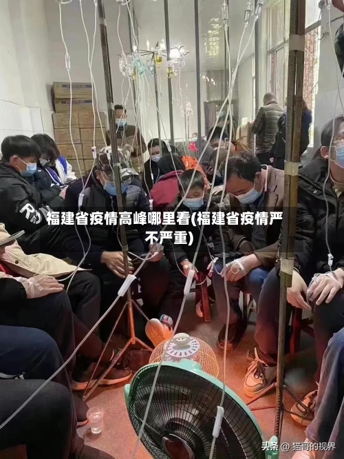 福建省疫情高峰哪里看(福建省疫情严不严重)-第3张图片