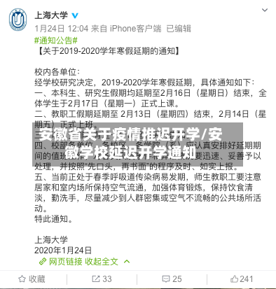 安徽省关于疫情推迟开学/安徽学校延迟开学通知-第3张图片