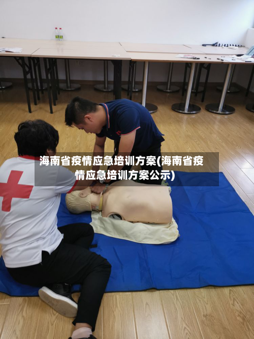 海南省疫情应急培训方案(海南省疫情应急培训方案公示)-第1张图片