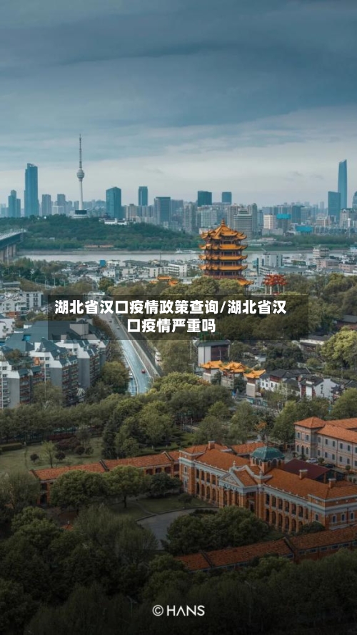 湖北省汉口疫情政策查询/湖北省汉口疫情严重吗-第2张图片