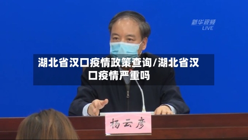 湖北省汉口疫情政策查询/湖北省汉口疫情严重吗-第1张图片