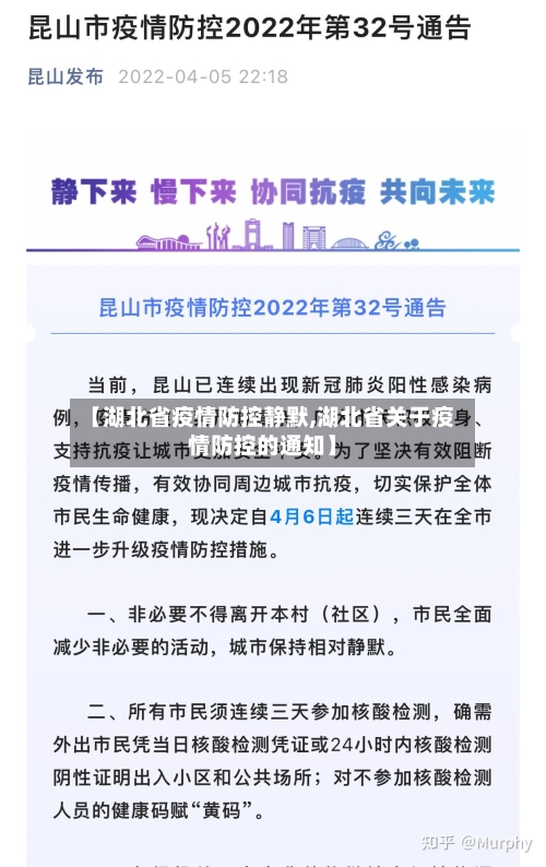 【湖北省疫情防控静默,湖北省关于疫情防控的通知】-第2张图片