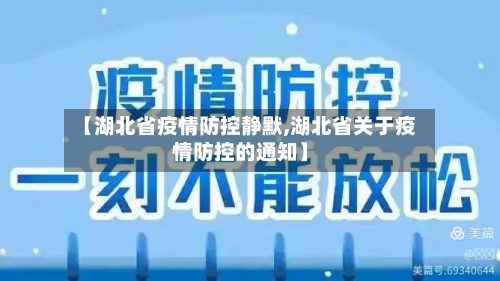 【湖北省疫情防控静默,湖北省关于疫情防控的通知】-第1张图片