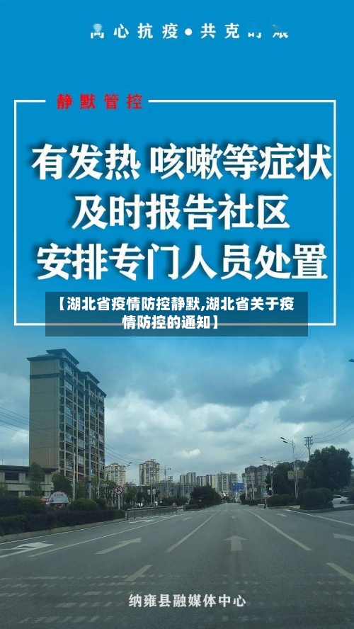 【湖北省疫情防控静默,湖北省关于疫情防控的通知】-第3张图片
