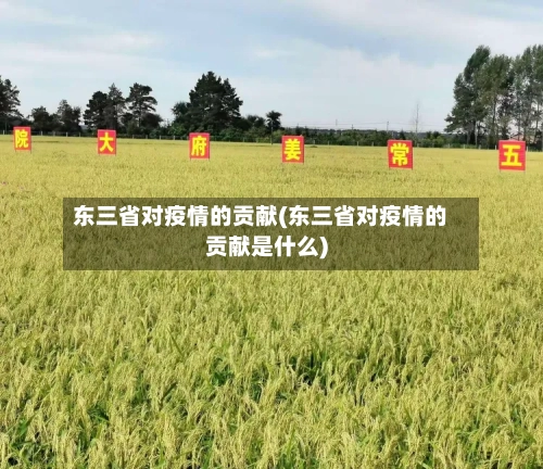 东三省对疫情的贡献(东三省对疫情的贡献是什么)-第1张图片