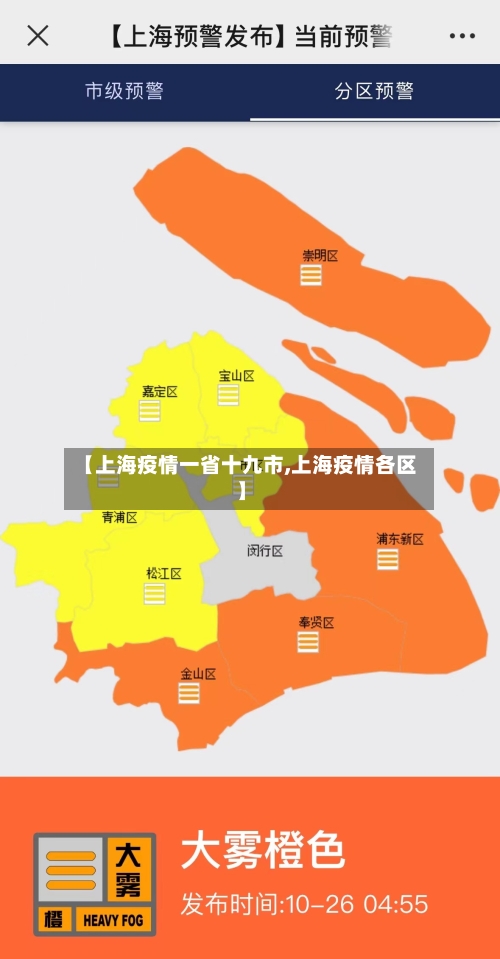 【上海疫情一省十九市,上海疫情各区】-第1张图片