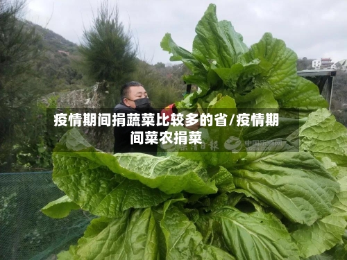 疫情期间捐蔬菜比较多的省/疫情期间菜农捐菜-第1张图片