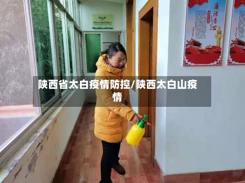 陕西省太白疫情防控/陕西太白山疫情-第2张图片