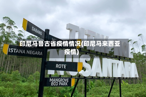 印尼马鲁古省疫情情况(印尼马来西亚疫情)-第3张图片