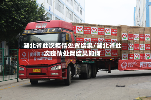 湖北省此次疫情处置结果/湖北省此次疫情处置结果如何-第2张图片