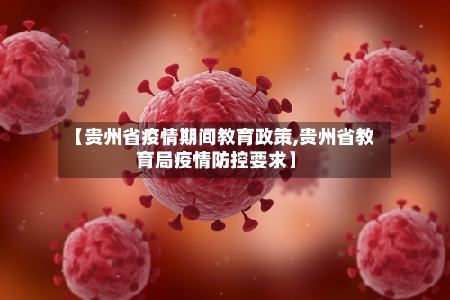 【贵州省疫情期间教育政策,贵州省教育局疫情防控要求】-第1张图片