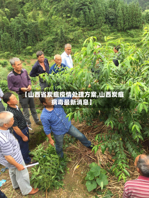 【山西省炭疽疫情处理方案,山西炭疽病毒最新消息】-第1张图片