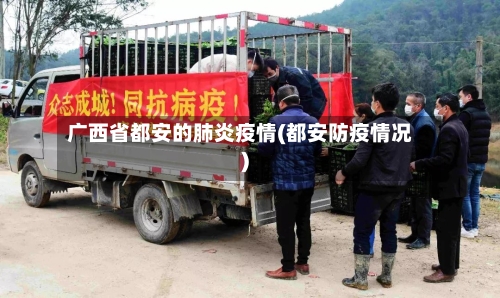 广西省都安的肺炎疫情(都安防疫情况)-第1张图片