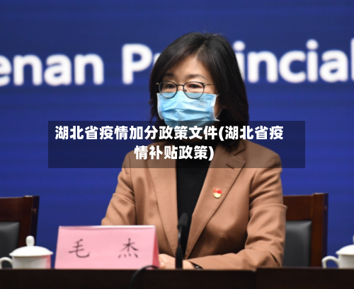 湖北省疫情加分政策文件(湖北省疫情补贴政策)-第3张图片