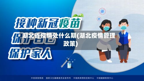 湖北省疫情处什么期(湖北疫情管理政策)-第1张图片