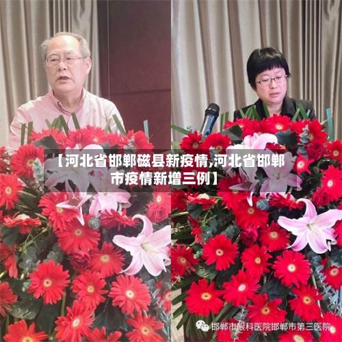 【河北省邯郸磁县新疫情,河北省邯郸市疫情新增三例】-第2张图片