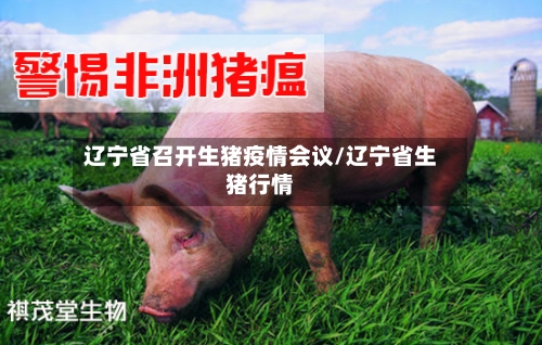 辽宁省召开生猪疫情会议/辽宁省生猪行情-第2张图片