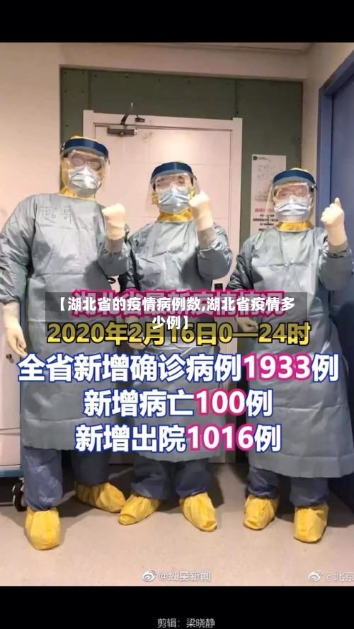 【湖北省的疫情病例数,湖北省疫情多少例】-第2张图片