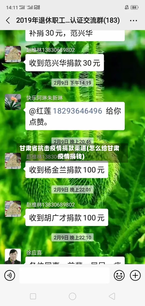 甘肃省抗击疫情捐款渠道(怎么给甘肃疫情捐钱)-第2张图片