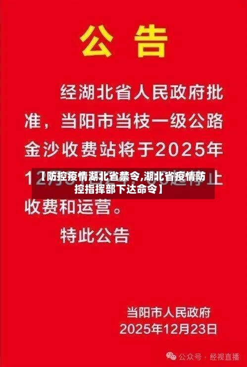 【防控疫情湖北省禁令,湖北省疫情防控指挥部下达命令】-第3张图片