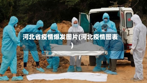 河北省疫情爆发图片(河北疫情图表)-第2张图片