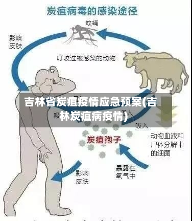 吉林省炭疽疫情应急预案(吉林炭疽病疫情)-第1张图片