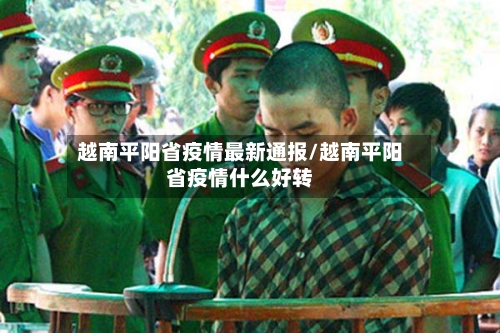 越南平阳省疫情最新通报/越南平阳省疫情什么好转-第3张图片