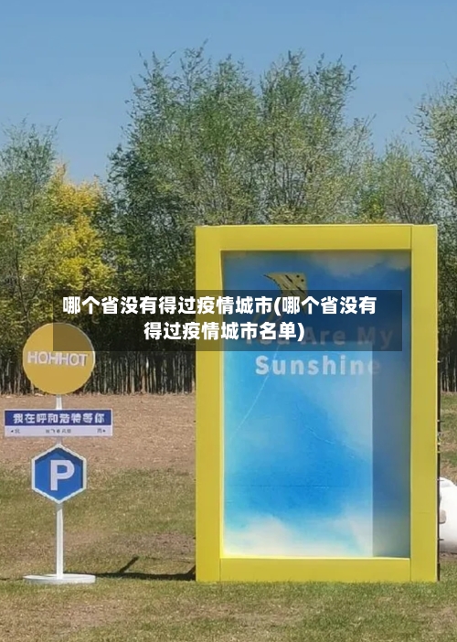 哪个省没有得过疫情城市(哪个省没有得过疫情城市名单)-第2张图片