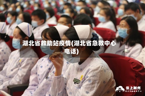 湖北省救助站疫情(湖北省急救中心电话)-第3张图片