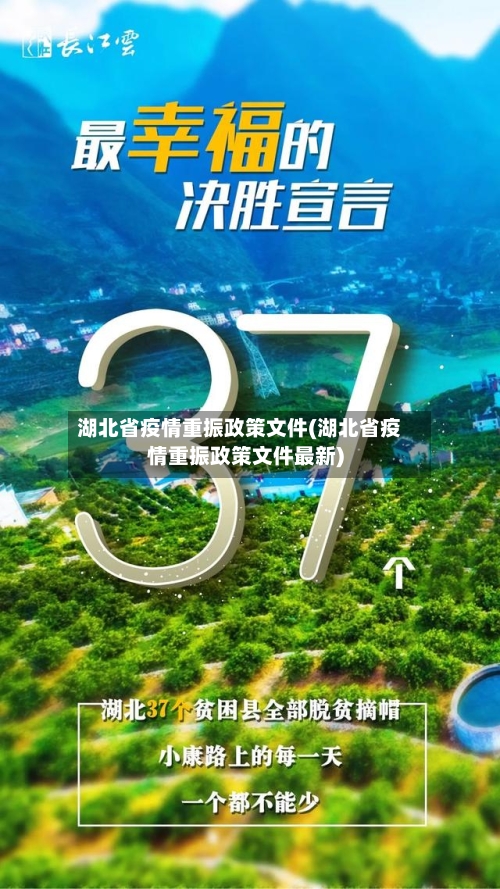 湖北省疫情重振政策文件(湖北省疫情重振政策文件最新)-第2张图片