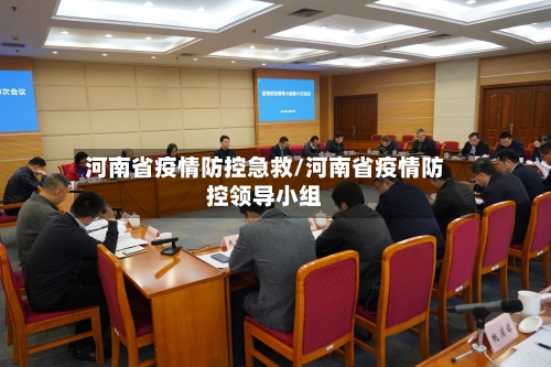 河南省疫情防控急救/河南省疫情防控领导小组-第2张图片