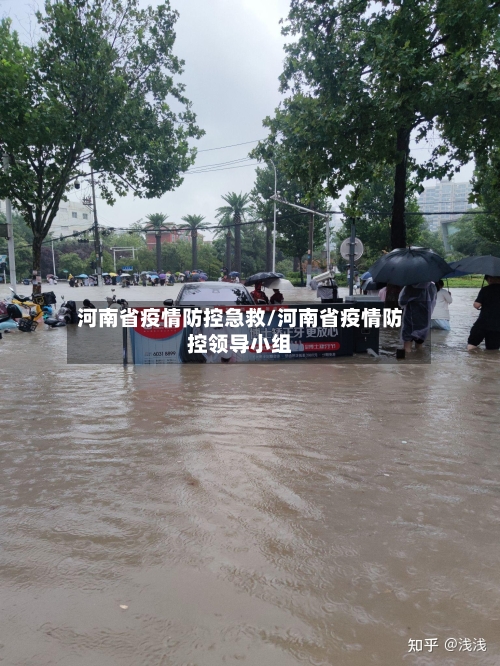 河南省疫情防控急救/河南省疫情防控领导小组-第3张图片