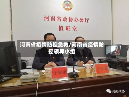 河南省疫情防控急救/河南省疫情防控领导小组-第1张图片