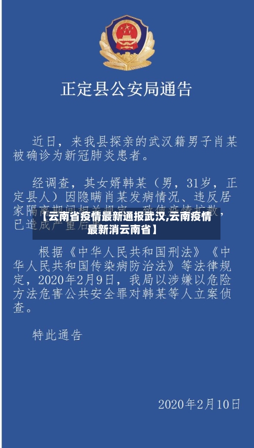 【云南省疫情最新通报武汉,云南疫情最新消云南省】-第2张图片