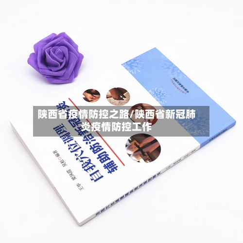 陕西省疫情防控之路/陕西省新冠肺炎疫情防控工作-第2张图片