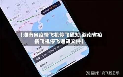 【湖南省疫情飞机停飞通知,湖南省疫情飞机停飞通知文件】-第1张图片