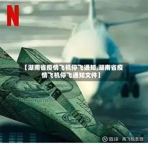 【湖南省疫情飞机停飞通知,湖南省疫情飞机停飞通知文件】-第2张图片