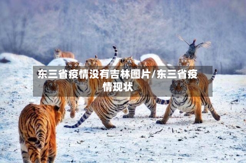 东三省疫情没有吉林图片/东三省疫情现状-第1张图片