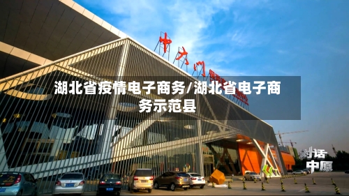 湖北省疫情电子商务/湖北省电子商务示范县-第1张图片