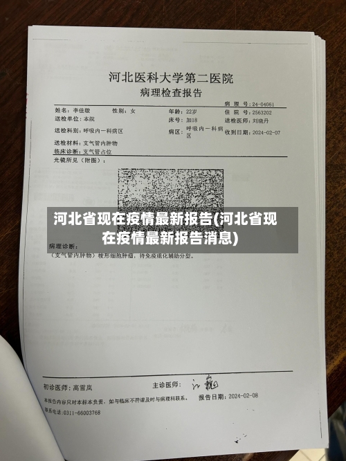 河北省现在疫情最新报告(河北省现在疫情最新报告消息)-第2张图片