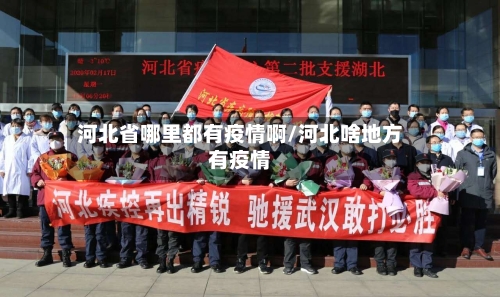 河北省哪里都有疫情啊/河北啥地方有疫情-第1张图片